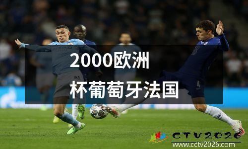 2000欧洲杯葡萄牙法国
