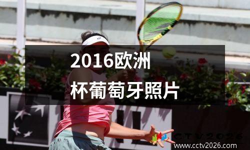 2016欧洲杯葡萄牙照片