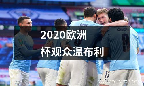 2020欧洲杯观众温布利