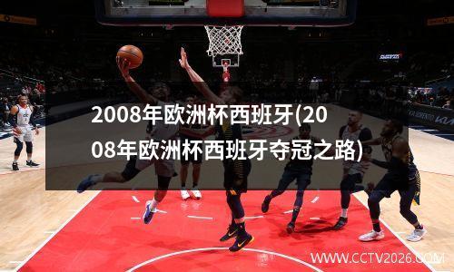 2008年欧洲杯西班牙(2008年欧洲杯西班牙夺冠之路)