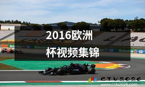 2016欧洲杯视频集锦