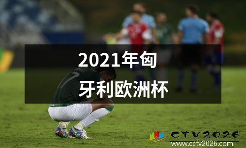 2021年匈牙利欧洲杯