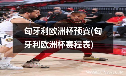 匈牙利欧洲杯预赛(匈牙利欧洲杯赛程表)