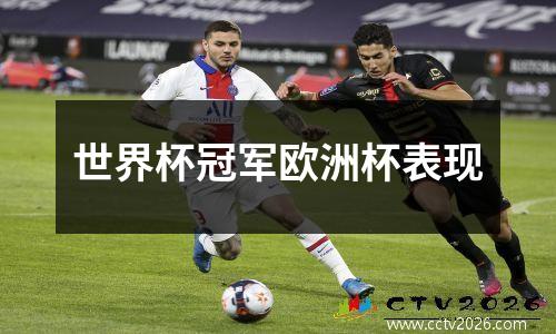 世界杯冠军欧洲杯表现