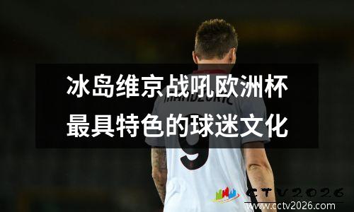 冰岛维京战吼欧洲杯最具特色的球迷文化