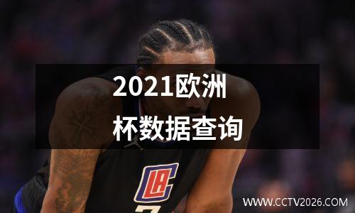 2021欧洲杯数据查询
