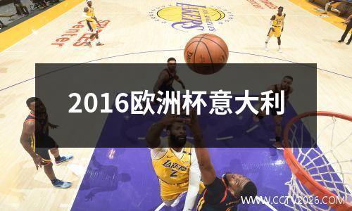 2016欧洲杯意大利