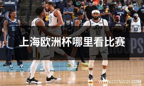 上海欧洲杯哪里看比赛