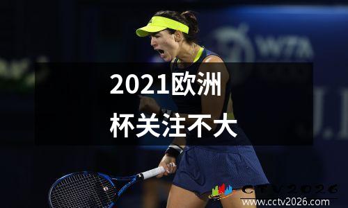 2021欧洲杯关注不大