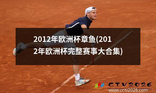 2012年欧洲杯章鱼(2012年欧洲杯完整赛事大合集)