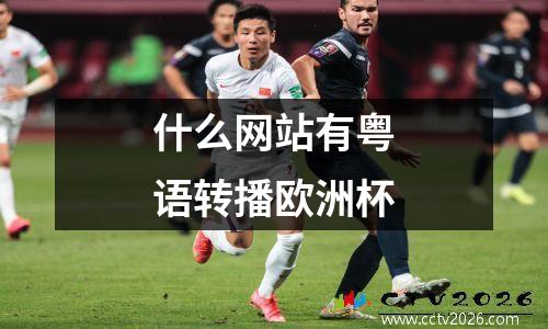 什么网站有粤语转播欧洲杯