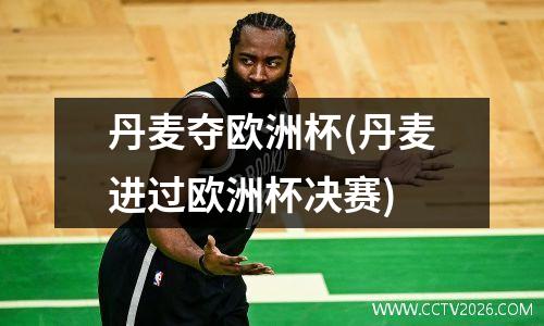 丹麦夺欧洲杯(丹麦进过欧洲杯决赛)