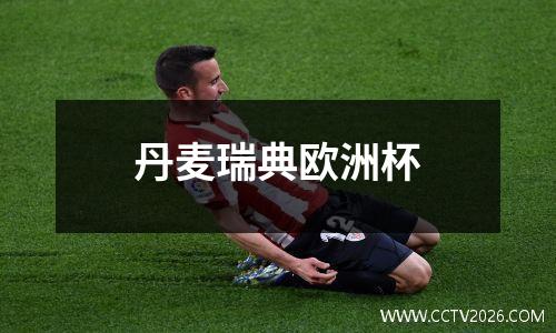 丹麦瑞典欧洲杯