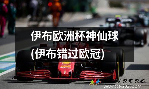 伊布欧洲杯神仙球(伊布错过欧冠)