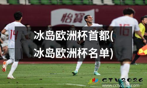 冰岛欧洲杯首都(冰岛欧洲杯名单)
