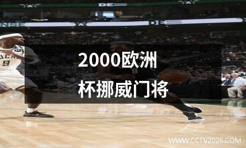 2000欧洲杯挪威门将