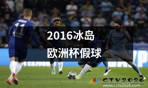 2016冰岛欧洲杯假球