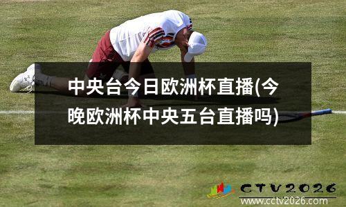 中央台今日欧洲杯直播(今晚欧洲杯中央五台直播吗)