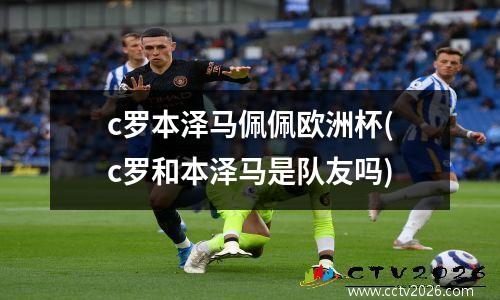 c罗本泽马佩佩欧洲杯(c罗和本泽马是队友吗)