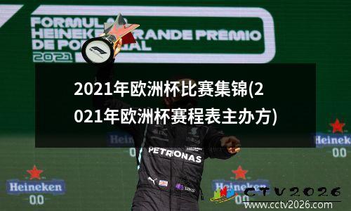 2021年欧洲杯比赛集锦(2021年欧洲杯赛程表主办方)