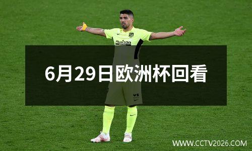 6月29日欧洲杯回看