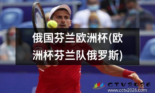 俄国芬兰欧洲杯(欧洲杯芬兰队俄罗斯)