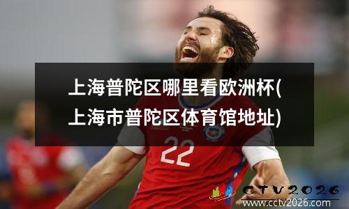上海普陀区哪里看欧洲杯(上海市普陀区体育馆地址)