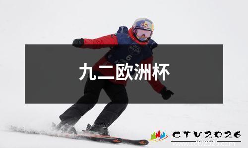 九二欧洲杯