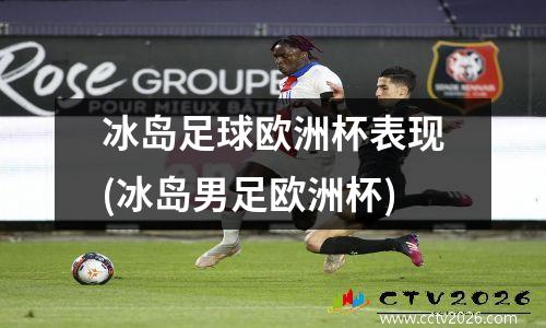 冰岛足球欧洲杯表现(冰岛男足欧洲杯)