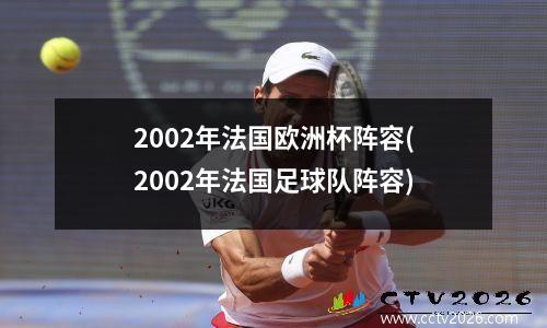 2002年法国欧洲杯阵容(2002年法国足球队阵容)