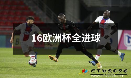 16欧洲杯全进球