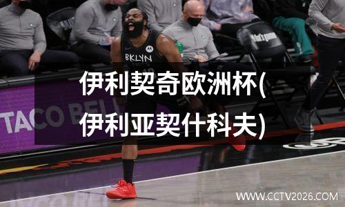 伊利契奇欧洲杯(伊利亚契什科夫)