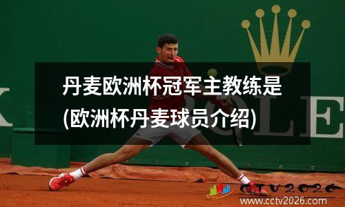 丹麦欧洲杯冠军主教练是(欧洲杯丹麦球员介绍)