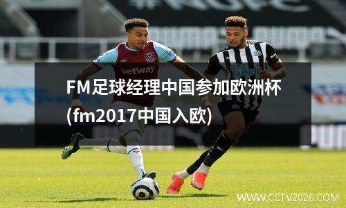 FM足球经理中国参加欧洲杯(fm2017中国入欧)