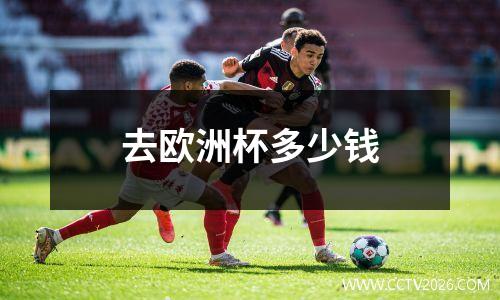 去欧洲杯多少钱