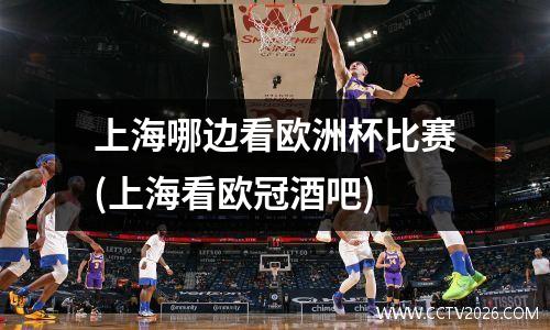 上海哪边看欧洲杯比赛(上海看欧冠酒吧)