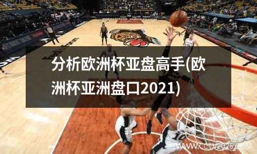 分析欧洲杯亚盘高手(欧洲杯亚洲盘口2021)