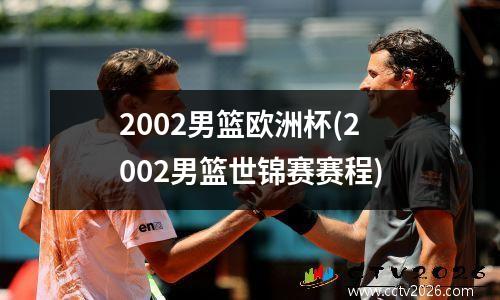 2002男篮欧洲杯(2002男篮世锦赛赛程)
