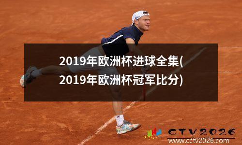 2019年欧洲杯进球全集(2019年欧洲杯冠军比分)