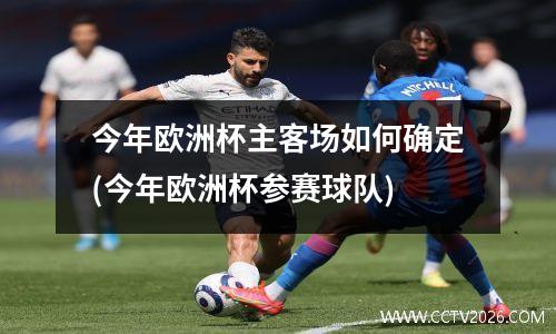 今年欧洲杯主客场如何确定(今年欧洲杯参赛球队)