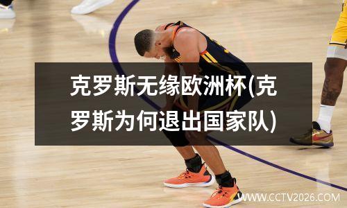 克罗斯无缘欧洲杯(克罗斯为何退出国家队)