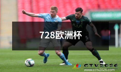 728欧洲杯
