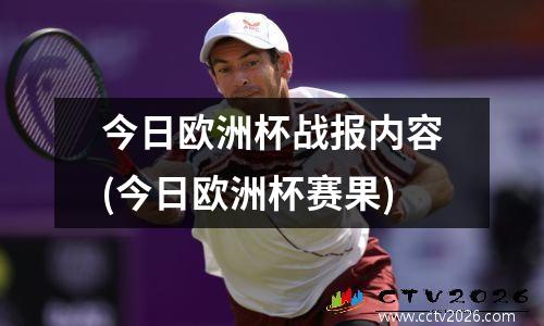 今日欧洲杯战报内容(今日欧洲杯赛果)