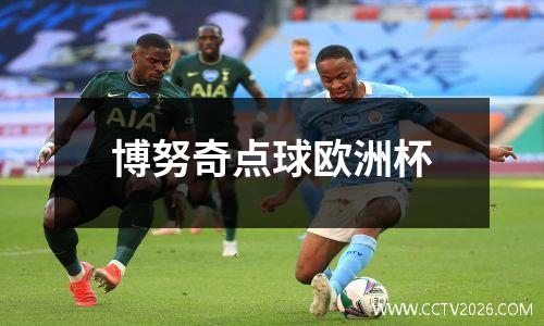 博努奇点球欧洲杯
