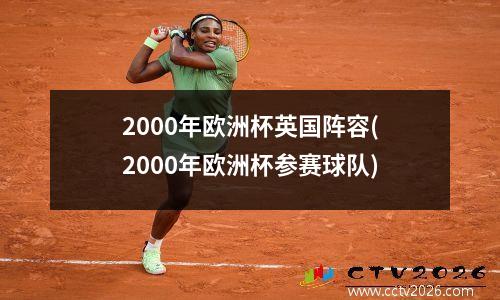 2000年欧洲杯英国阵容(2000年欧洲杯参赛球队)