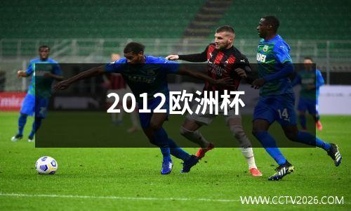 2012欧洲杯