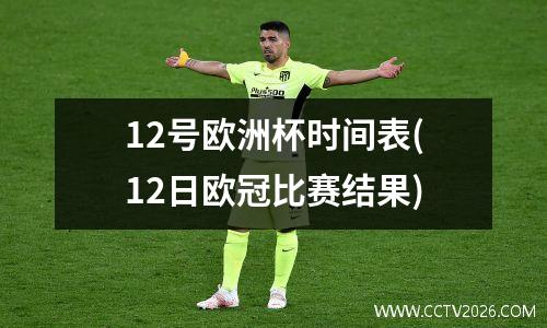 12号欧洲杯时间表(12日欧冠比赛结果)