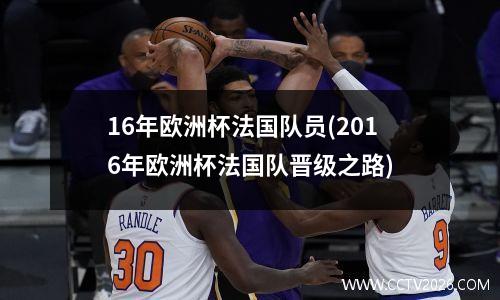 16年欧洲杯法国队员(2016年欧洲杯法国队晋级之路)