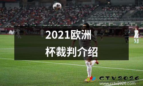 2021欧洲杯裁判介绍