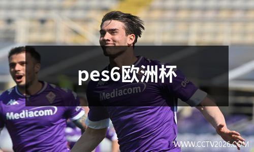 pes6欧洲杯